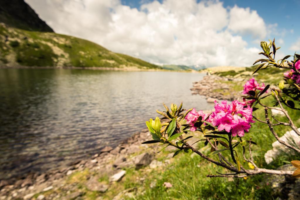 Hotel Voelserhof Bad Hofgastein Ngoại thất bức ảnh